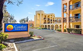 Comfort Inn And Suites San Francisco Airport North